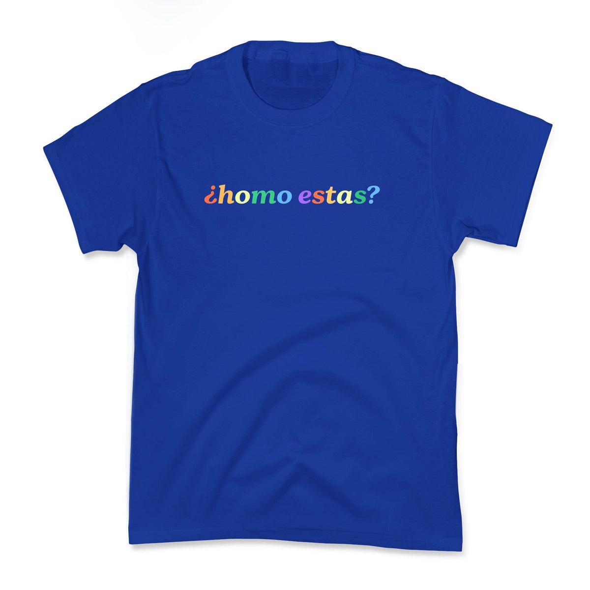 Homo Estas Rainbow Kids Tee Unisex