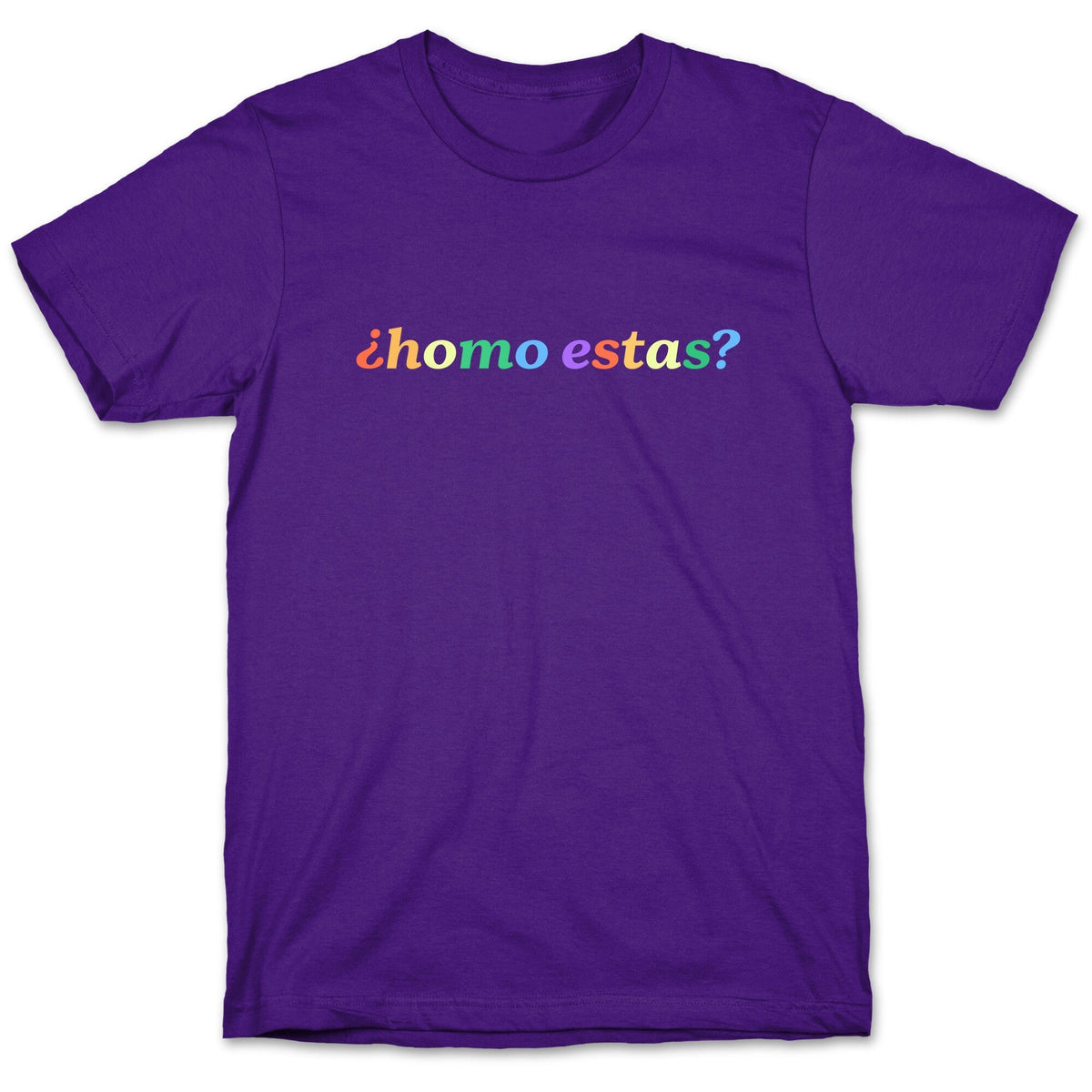Homo Estas Rainbow Unisex