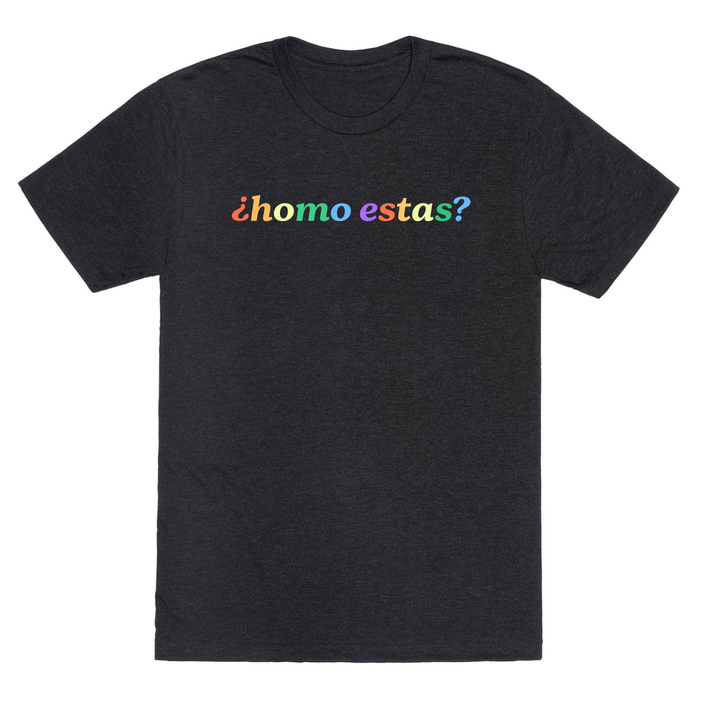 Homo Estas Rainbow Unisex Triblend Tee Unisex