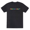 Homo Estas Rainbow Unisex Triblend Tee Unisex