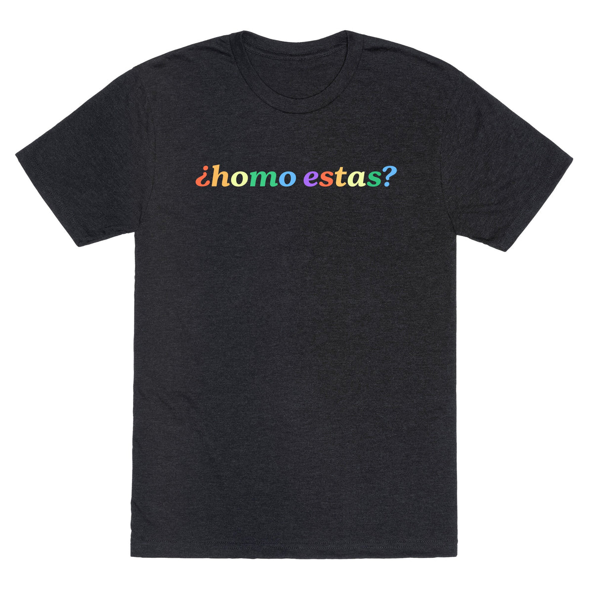 Homo Estas Rainbow Unisex Triblend Tee Unisex