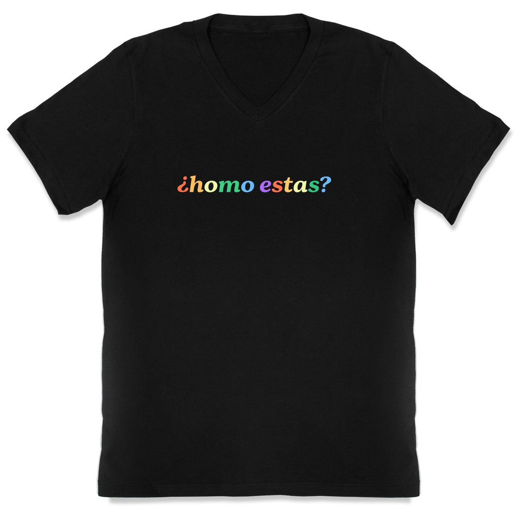 Homo Estas Rainbow V-Neck Unisex