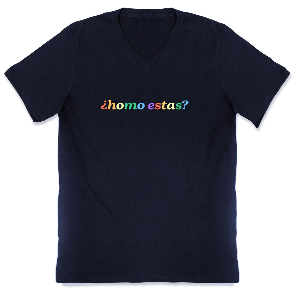 Homo Estas Rainbow V-Neck Unisex