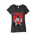 Anti Ice DC Sandwich Guy Womens Triblend Tee Unisex