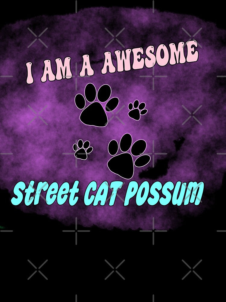 i am awesome possum funny meme opossum street cat cute awesome opossum hydro word Art by DesignYourWaystore