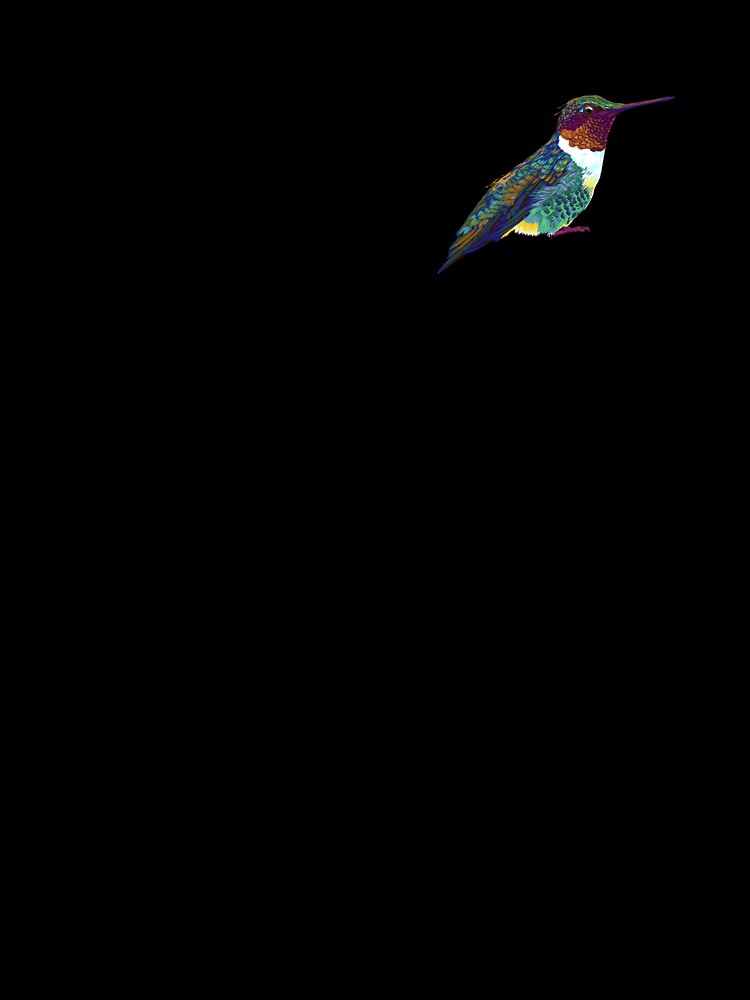 Colorful Hummingbird Bird by alwe-designs