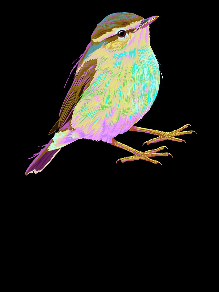 Colorful Warbler Bird by alwe-designs