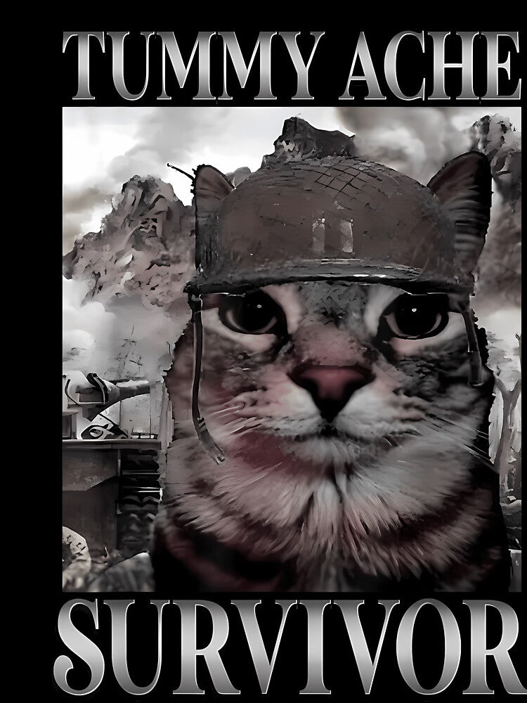 Tummy Ache Survivor Cat Meme Funny Saying Cats Animal by grumpzara