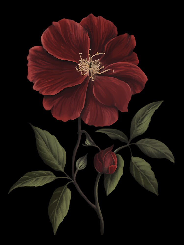 Dark Academia Red Flower by nqlcctulux48