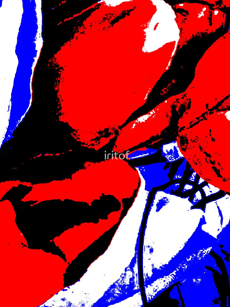 Tulips in red white blue green by Iritof by iritof