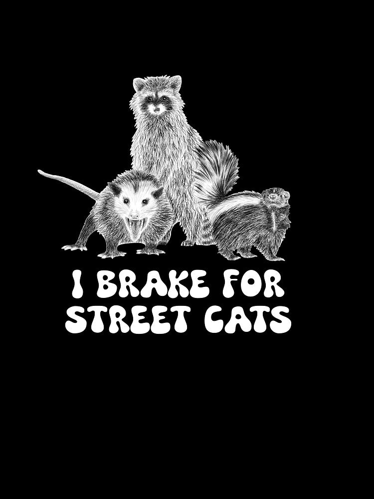 I Brake for Street Cats by daraniepin
