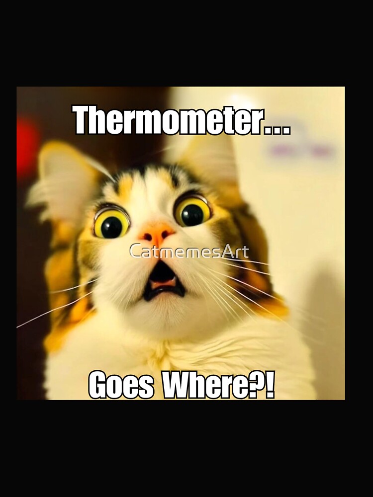 Thermometer Goes Where? - Funny Screaming Cat Meme by CatmemesArt