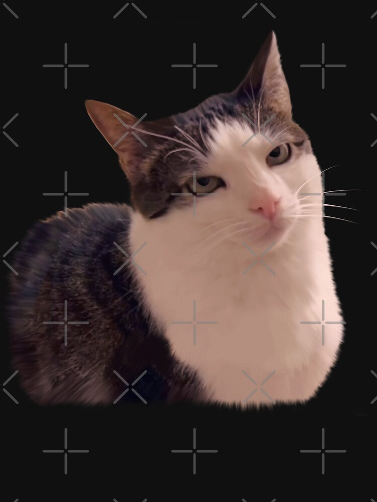Cat rolling eyes meme, sarcastic funny cat by Prime_Store