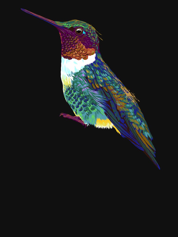 Colorful Bird Hummingbird by alwe-designs