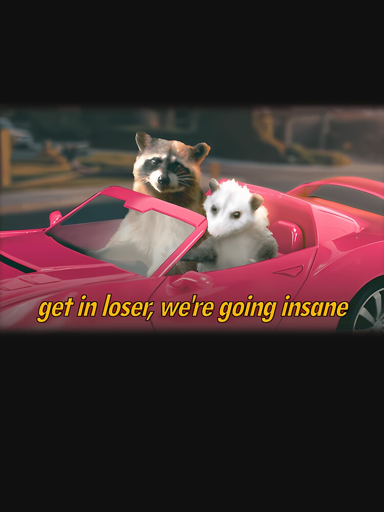 Get In Loser We'Re Going Insane Raccoon Possum Word Art - Film Quote Version by Kaleighcormack