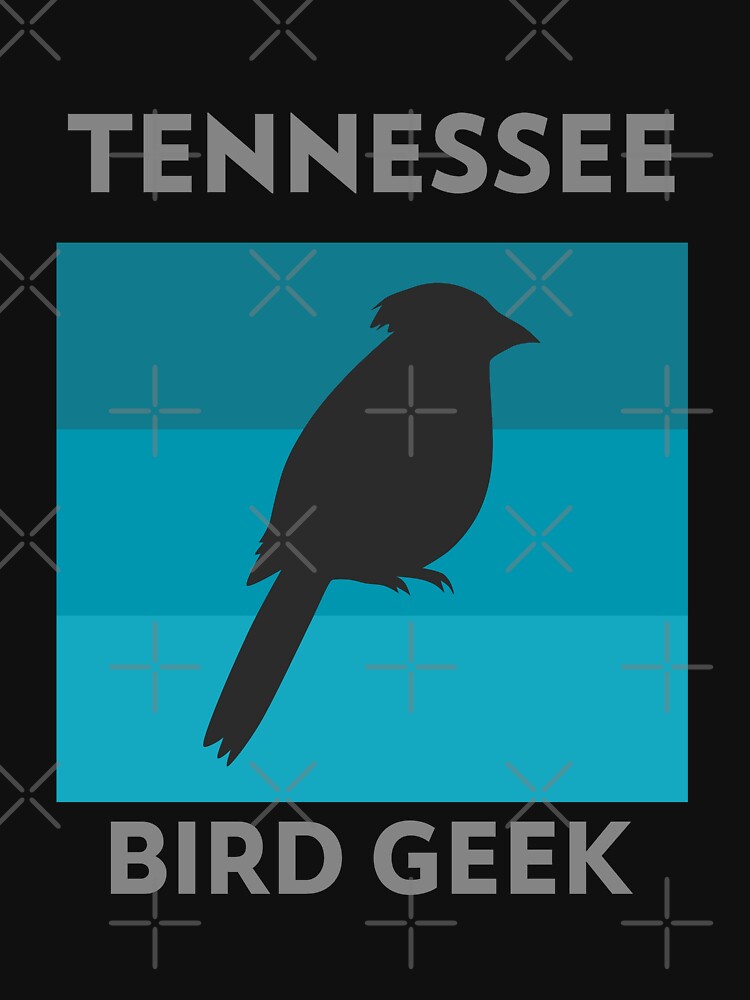 Tennessee Bird Geek Bird Watching Tennessee by Winter--Flowers