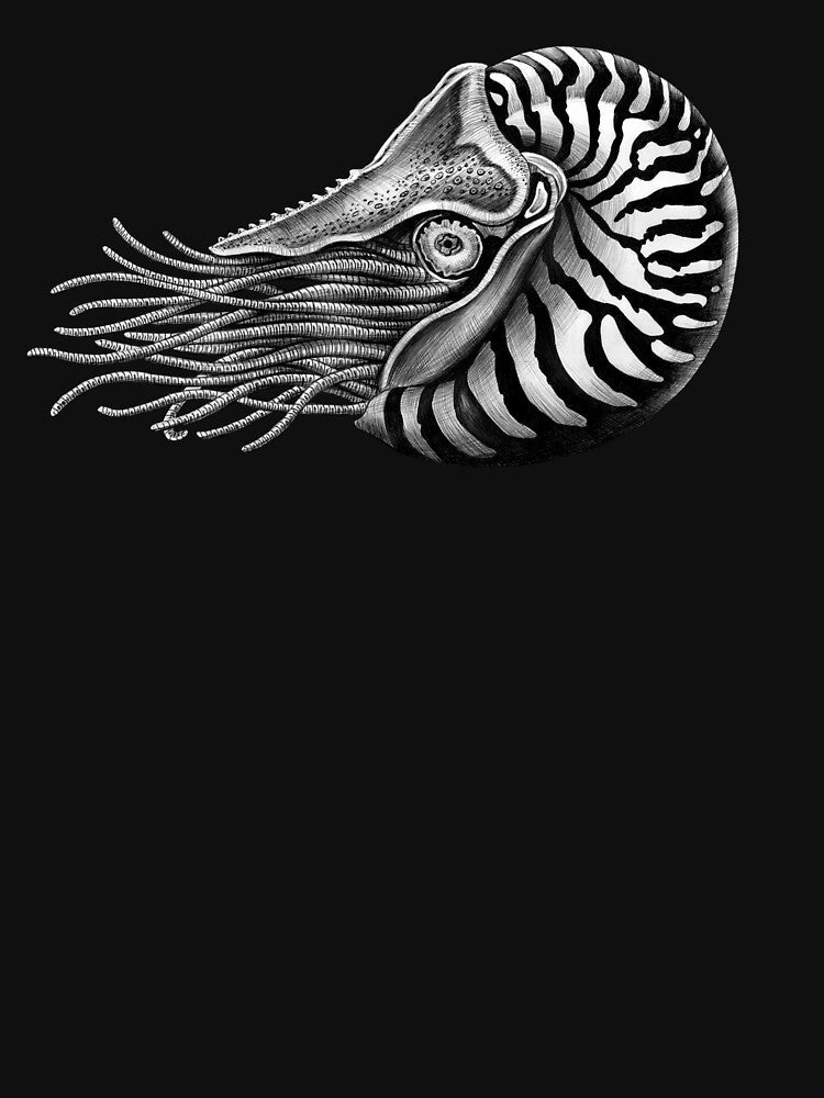 Nautilus by TimJeffsArt Unisex
