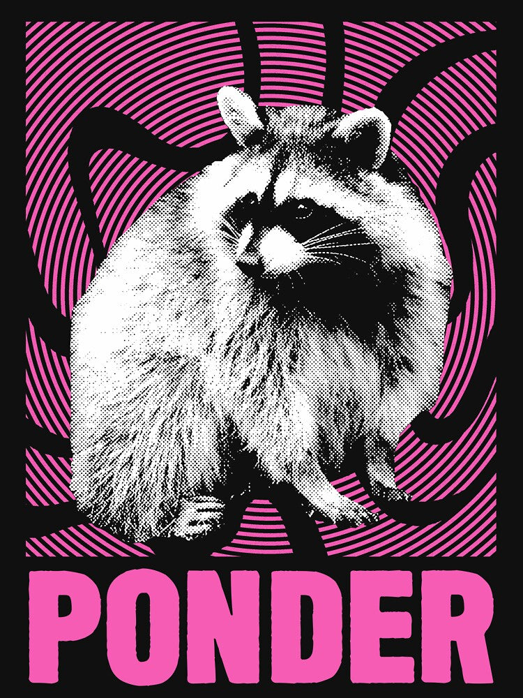 Ponder Raccoon by VintageMedatsu