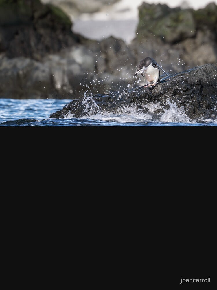 Penguin Surrounded by Splashing Water Half Moon Island by PhotoArt by Joan Carroll