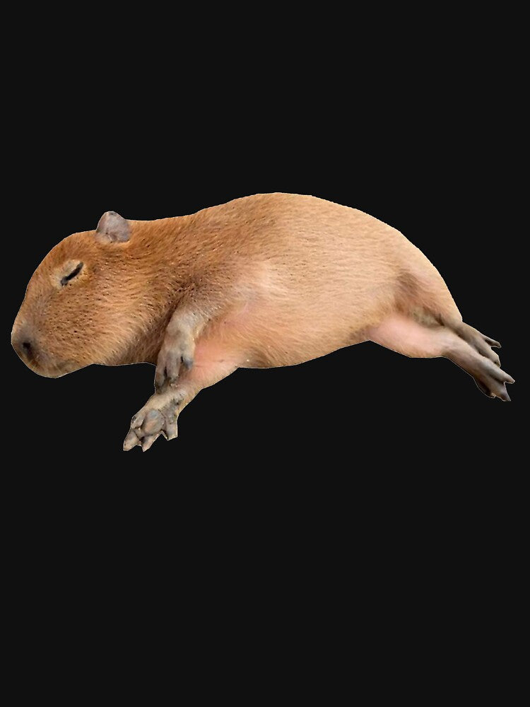 Baby Capybara Sleeping Art for Men Women Kids , Capybara Gift Lover by DZIRI NAJAT