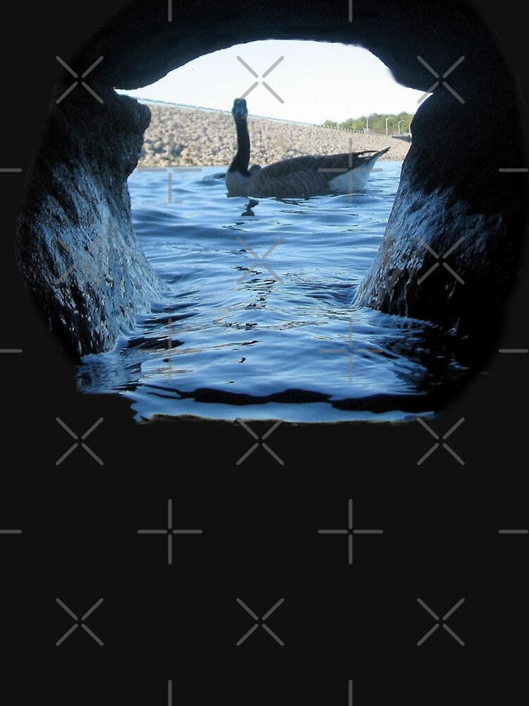 GOOSE THROUGH A ROCK by THE AMERICAN TEEVANGELIST