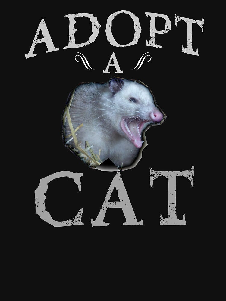Adopt A Cat by bitstudio