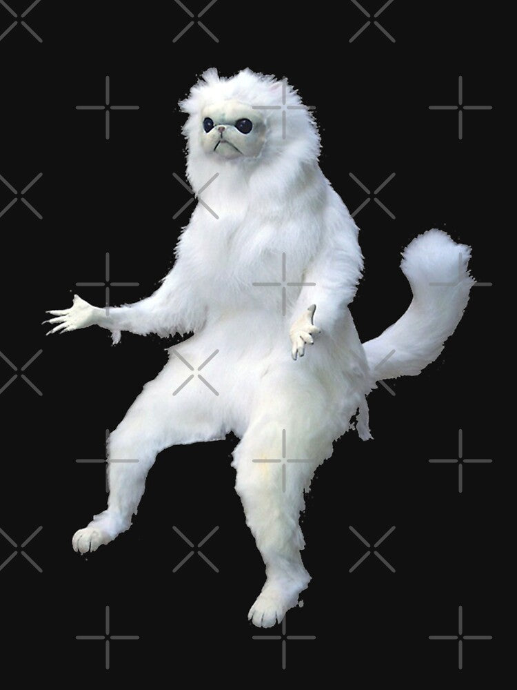 Persian Cat Room Guardian Meme T-Shirts by ForceProfile
