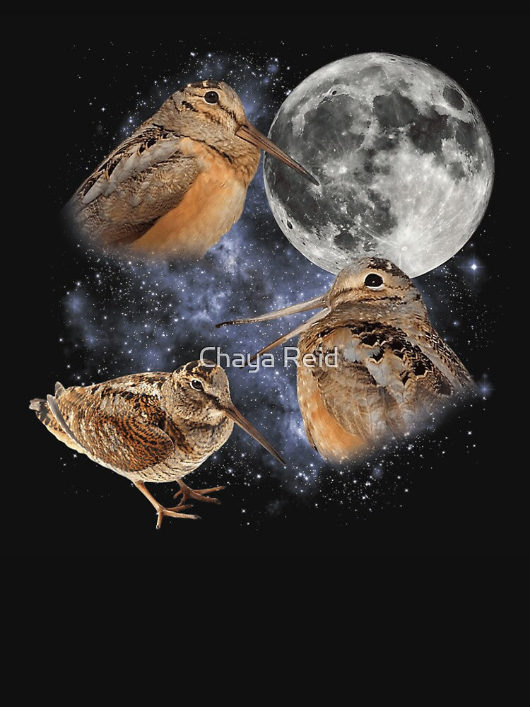 American Woodcock Bird In Space Galaxy Moon Timberdoodle Wildlife Nature Art by Chaya Reid