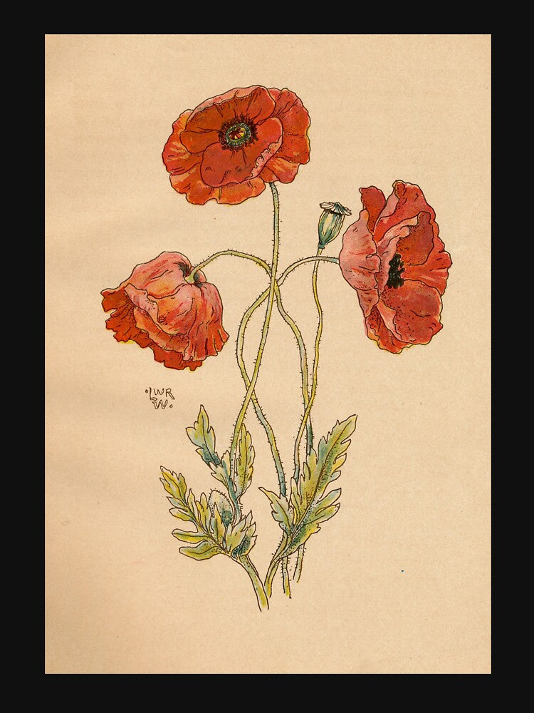 Red Poppies (Klaprozen) by Donkey's Salad