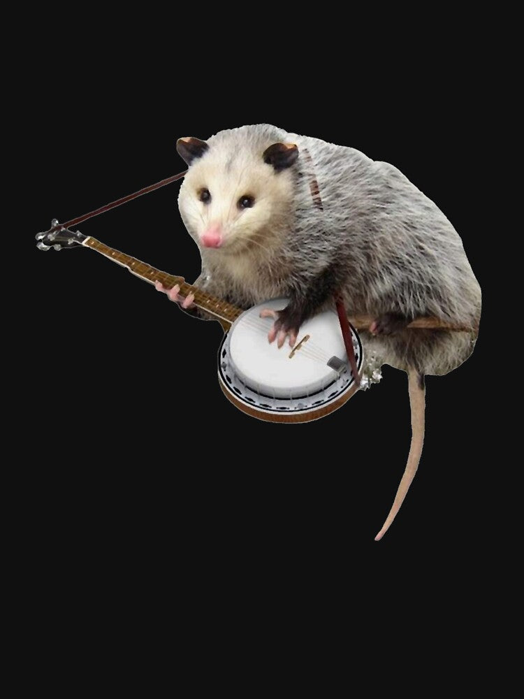Opossum Playing Banjo by ScottWilso42