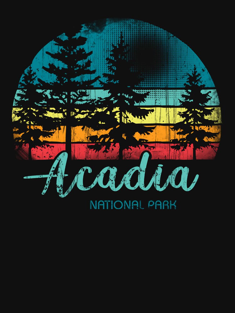 Acadia National Park Pines Vintage by Gennadim