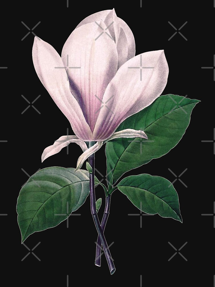 Magnolia  soulangeana | The Saucer Magnolia | Pierre Joseph Redouté | Vintage Botanical Art Print by LaMadeleine