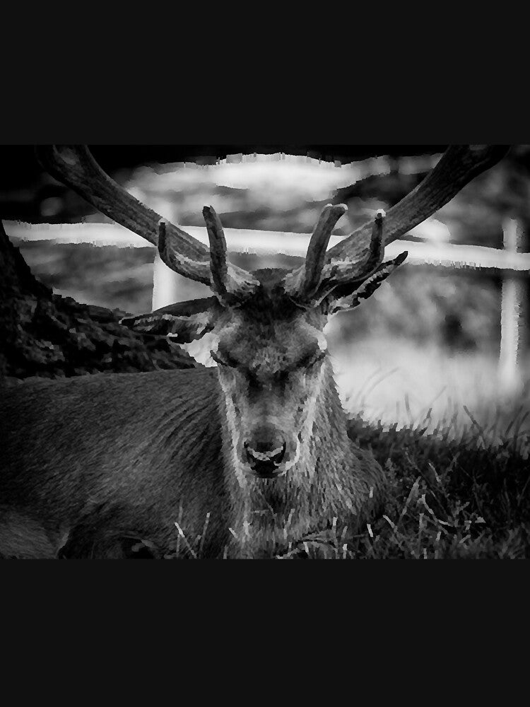 Stag by ethperez6445vc