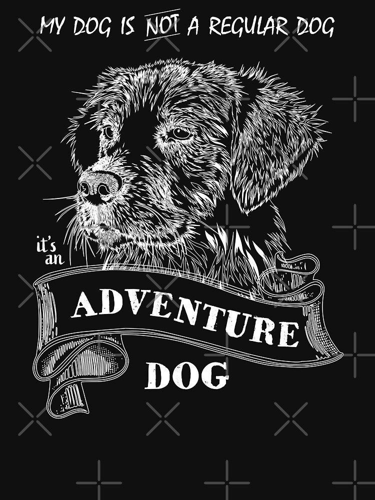 Adventure Dog by LookFrog