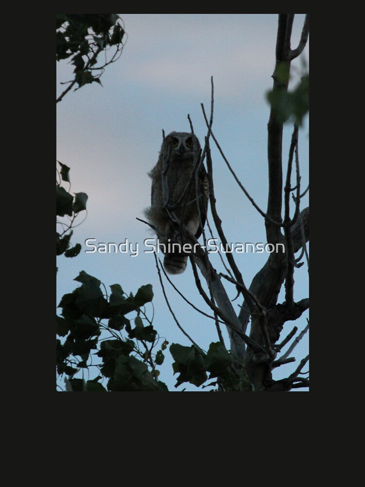 Intently Watching by Sandy Shiner-Swanson