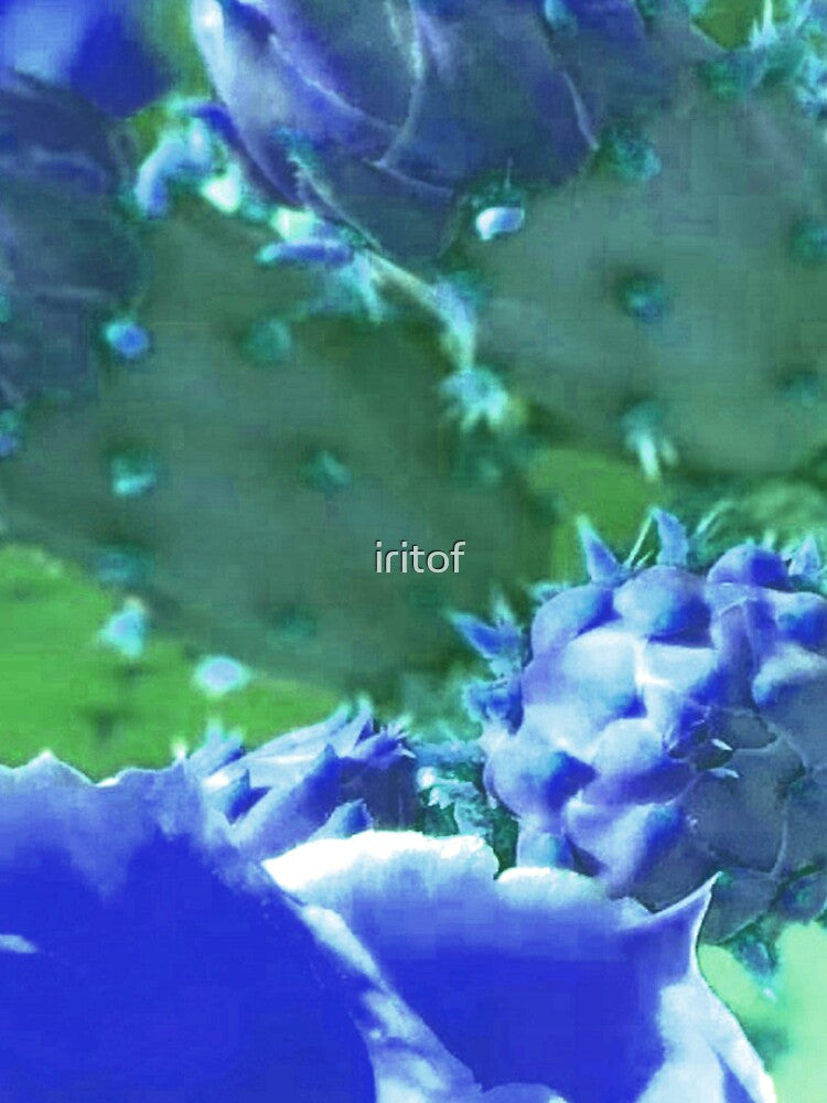 BLUE GREEN CACTUS BY IRITOF by iritof