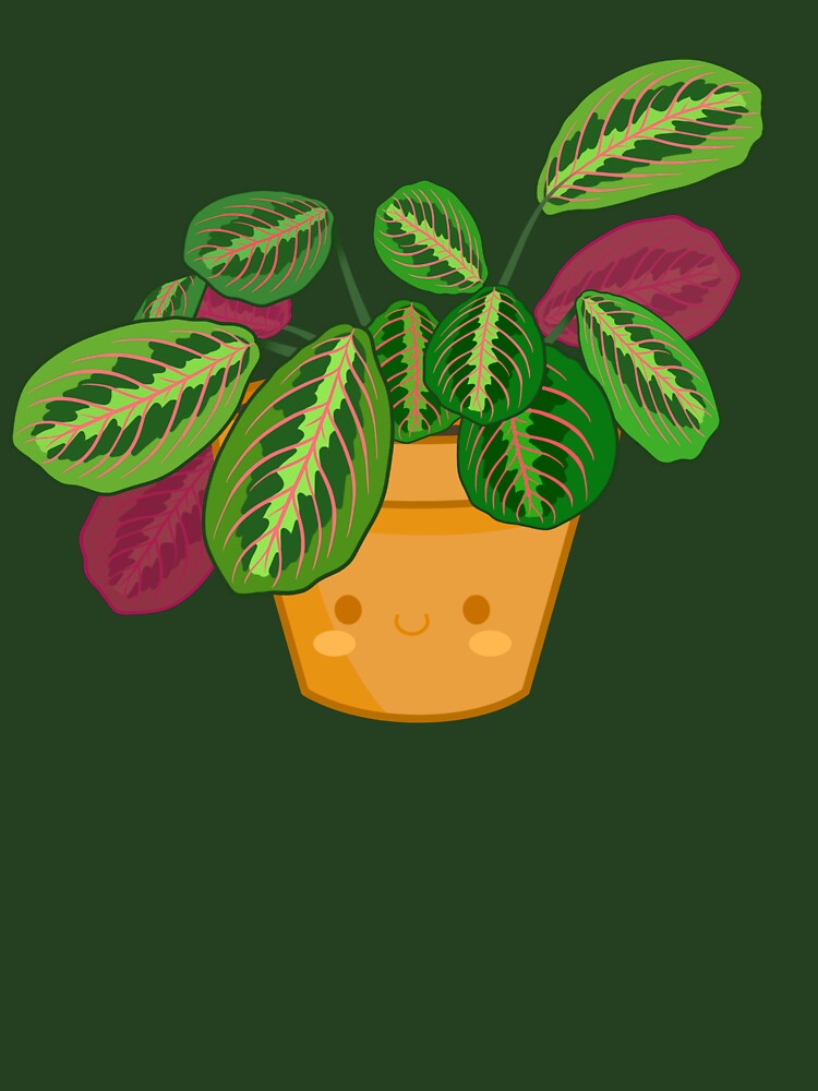 Kawaii Prayer Plant by bumblebreeart