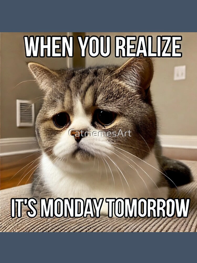 When You Realize It's Monday Tomorrow - Funny Pathetic Cat Meme by CatmemesArt