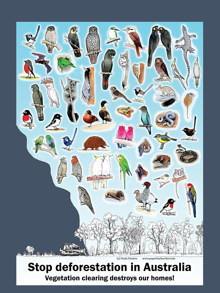 Stop deforestation in Australia (SE Aust) by Paula Peeters