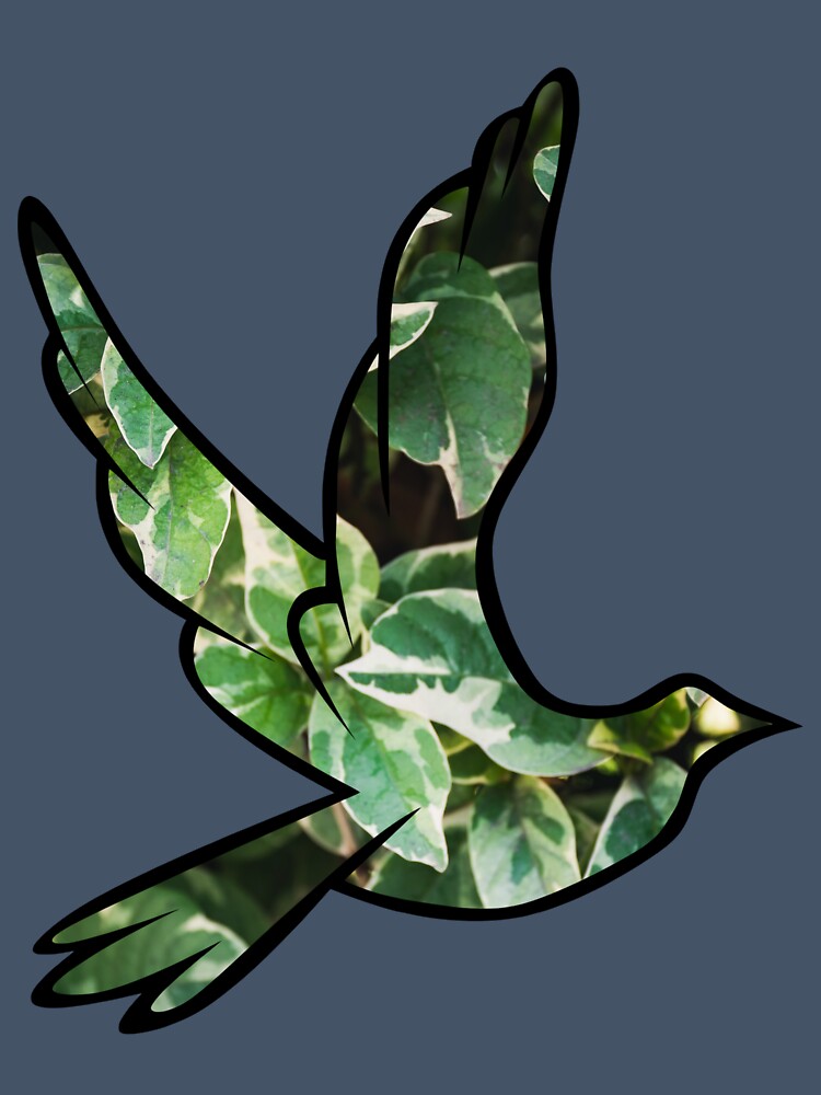 Pothos Dove by BuzzySpaceBee