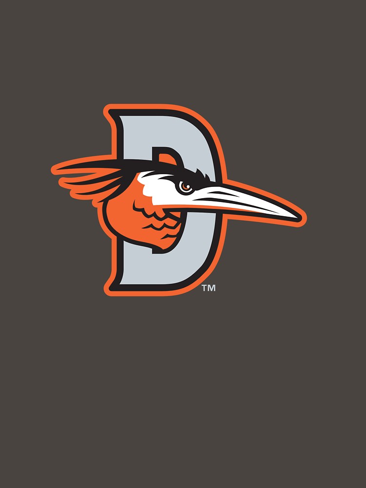New-Shorebirds-Delmarva by ramsesdo