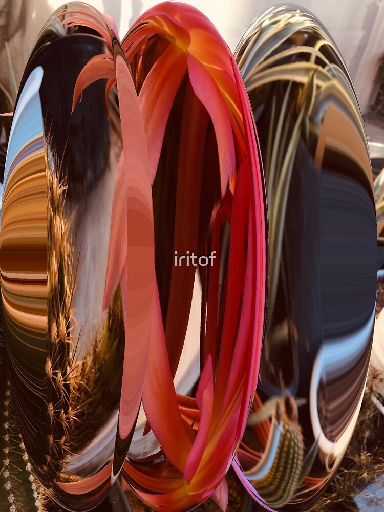 Cactus swirls by Iritof by iritof