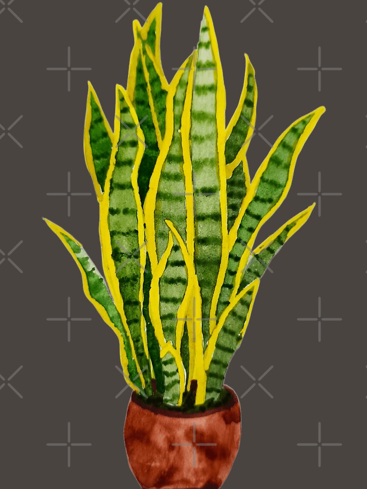 Snake Plant - Hand-Painted with Watercolor. by Greitas