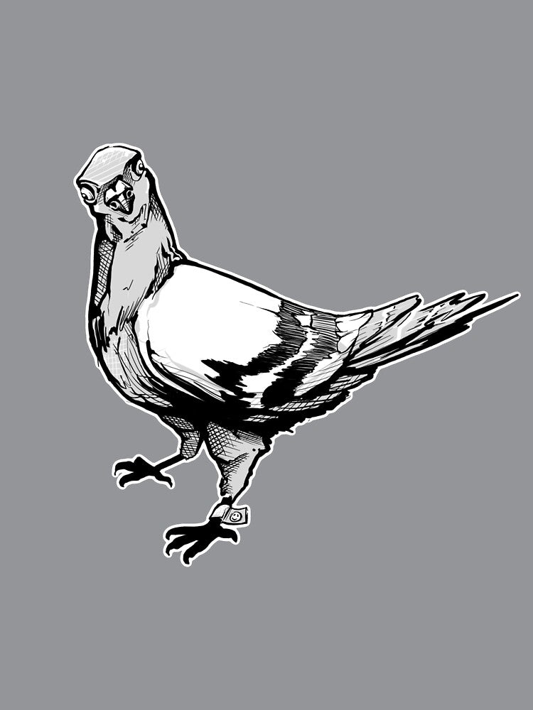 Hand Drawn Pigeon by amidst-no-whale