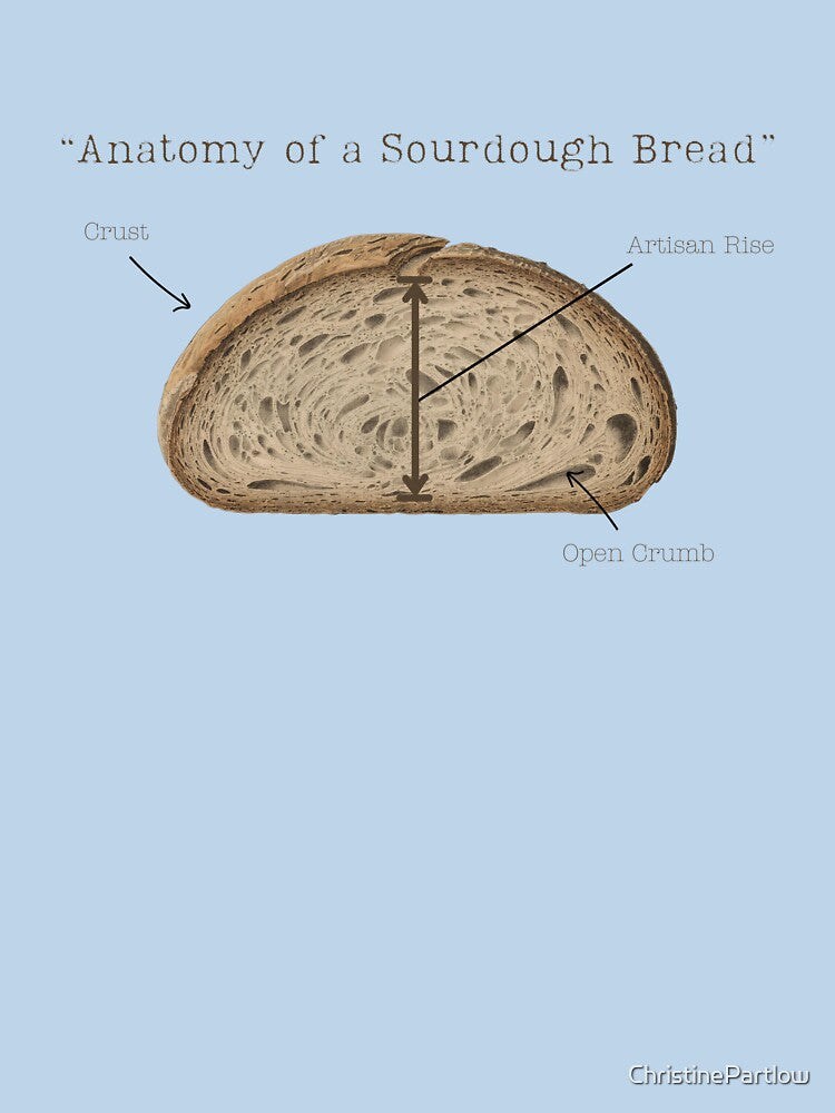 Anatomy of a Sourdough Bread – Vintage Artisan Baking Illustration by ChristinePartlow