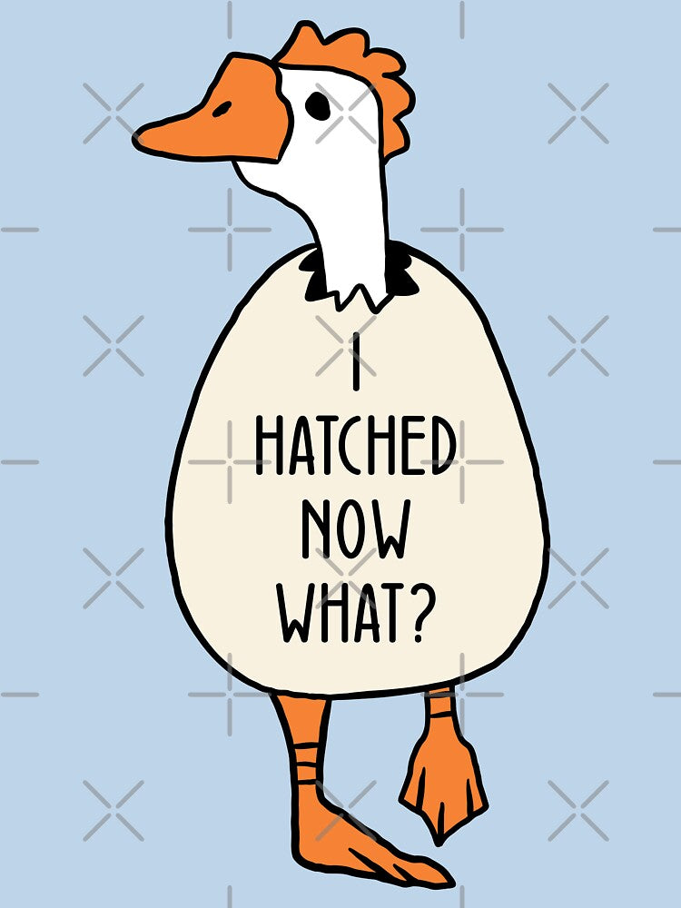 I Hatched Now What? by RetroChunky®