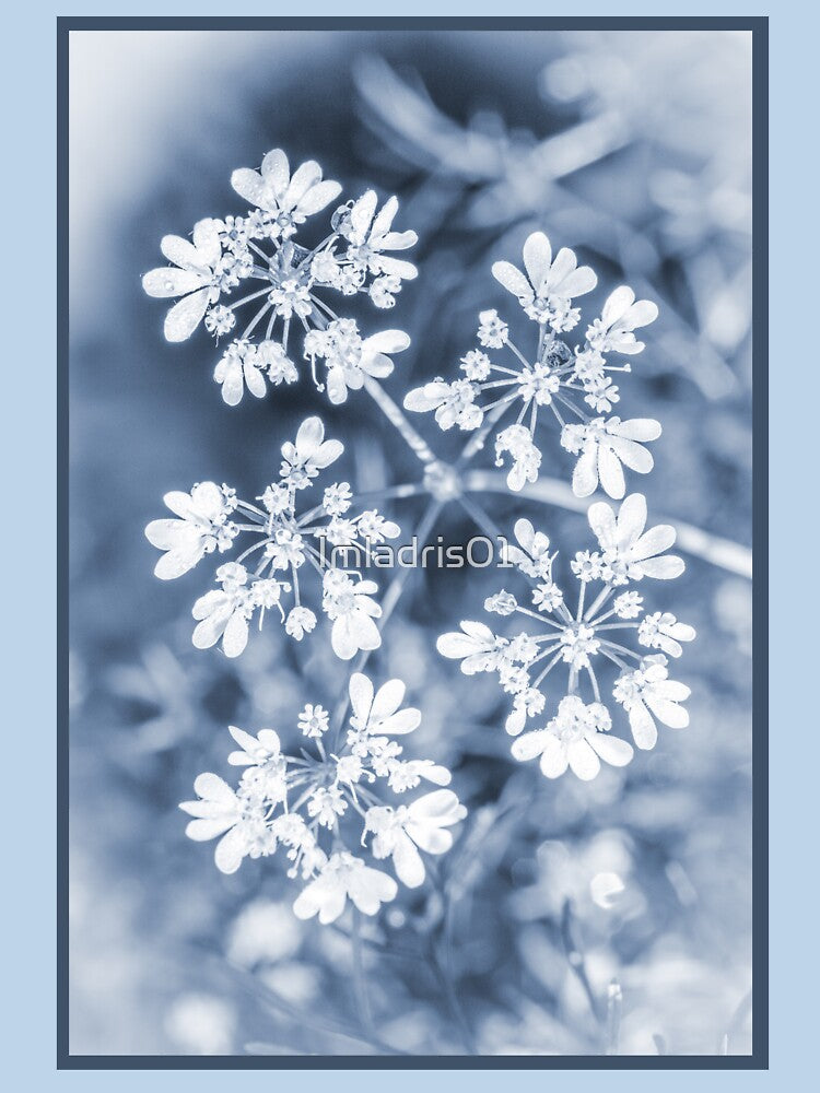Delicate Coriander Flowers Blue tone by Imladris01