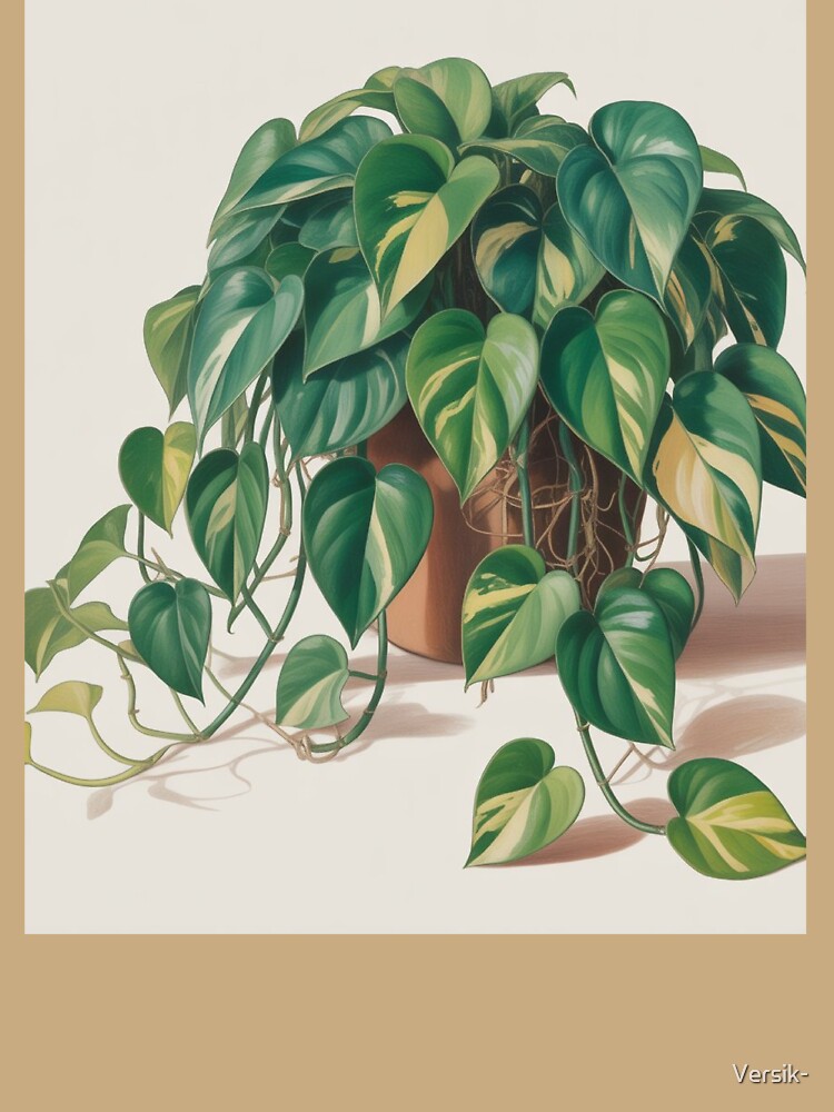 Pothos Plant Gift Idea by Versik-