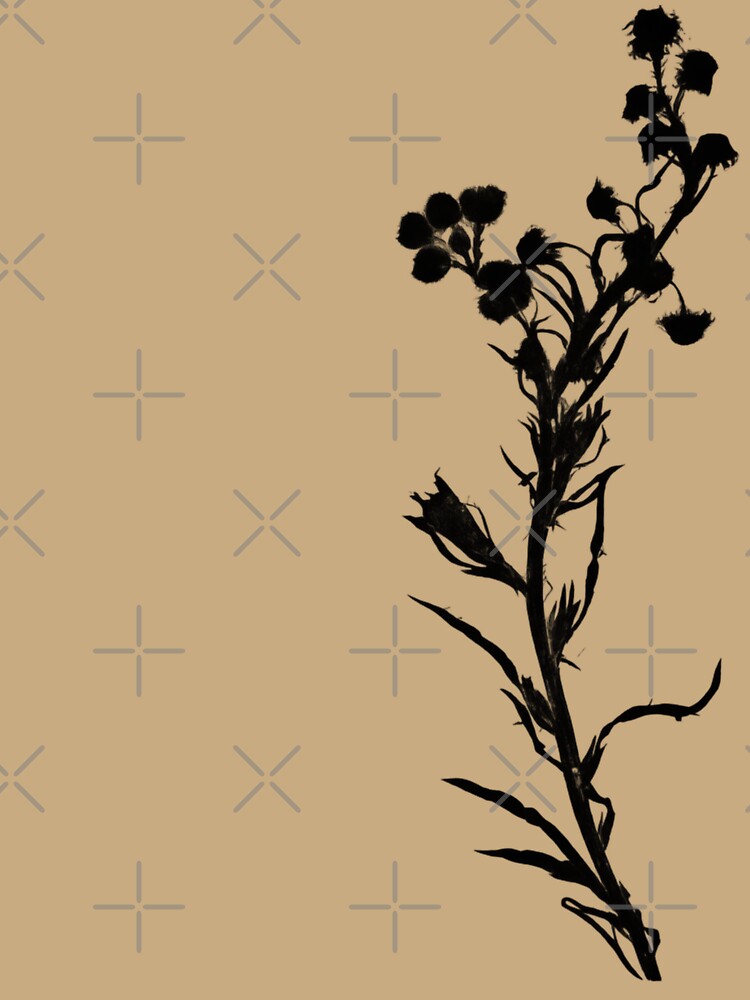 Wildflower Botanical Silhouette – Original Cyanotype Art by The Snarky Ph.D.: A Study in Botanicals