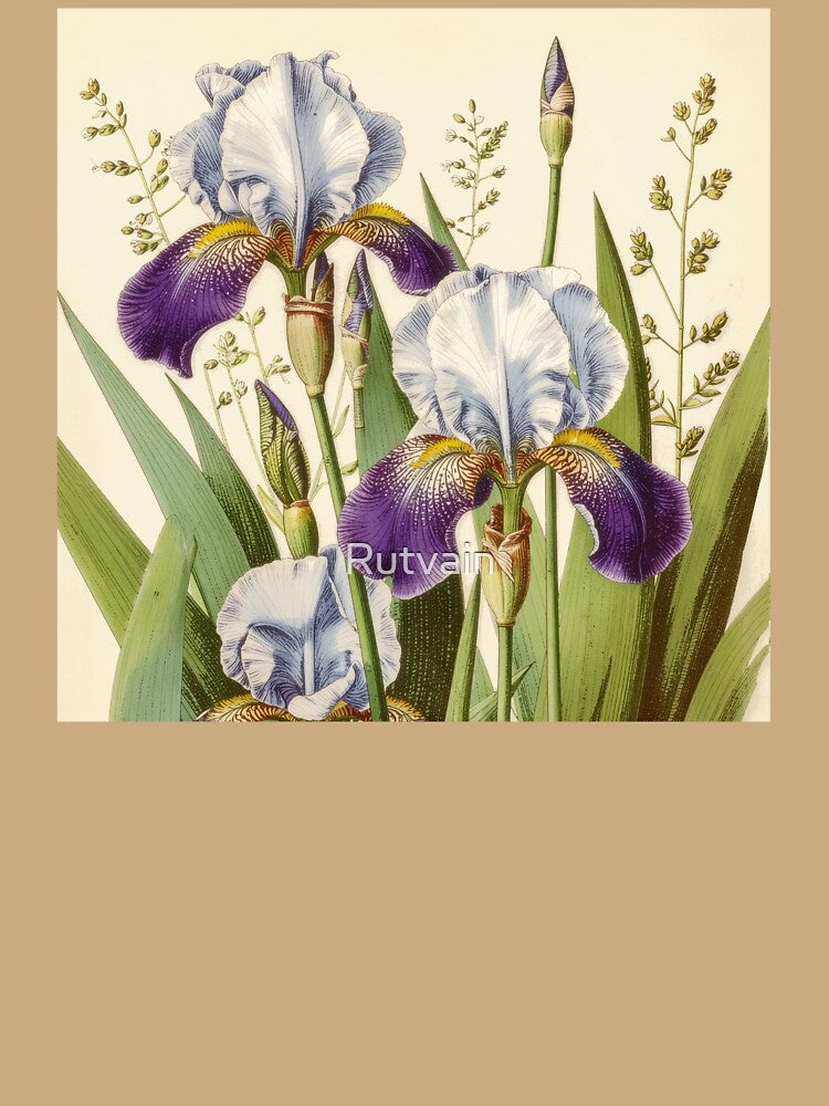 Vintage Iris Botanical Illustration by Rutvain